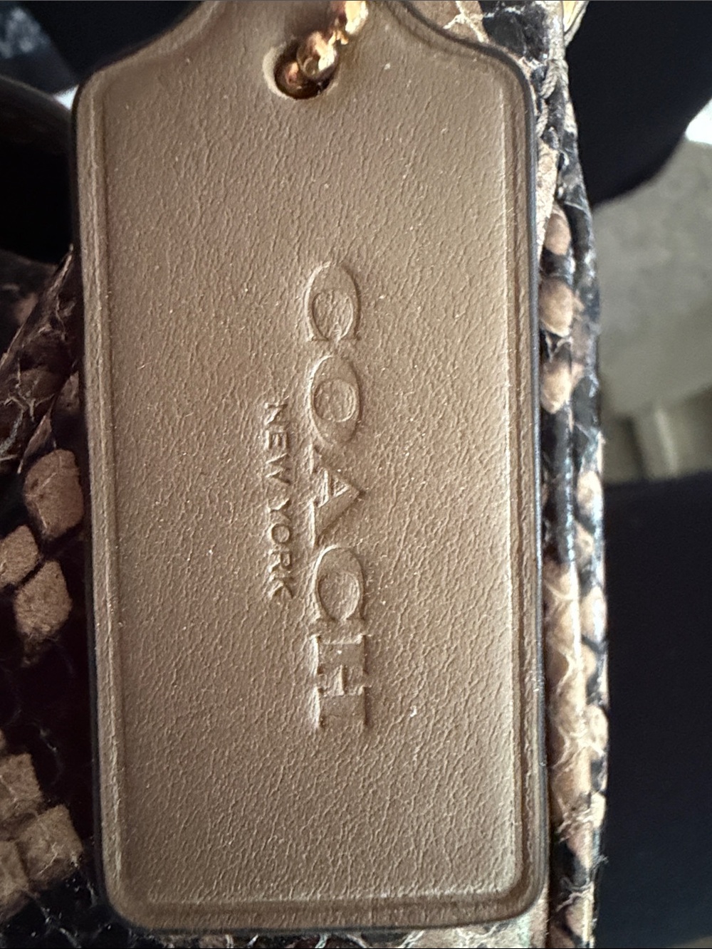 Coach Snake-Print Brown Mini Shoulder Bag with Gold Hardware - Picture 2 of 6